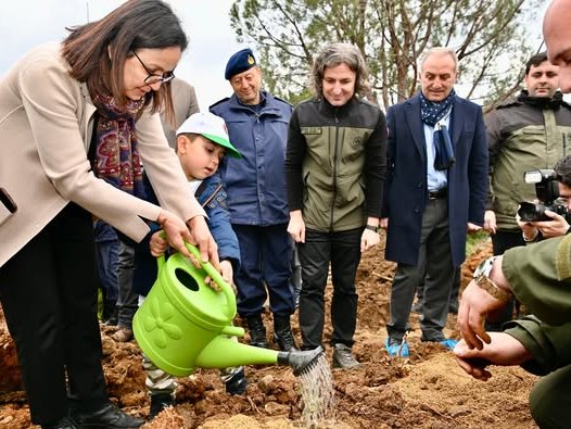 Yalova da agac dikimi gerceklestirildi
